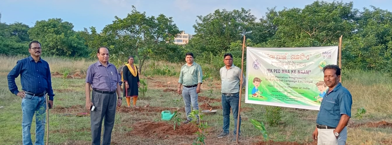 State Medicinal Plants Board