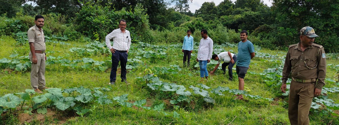State Medicinal Plants Board