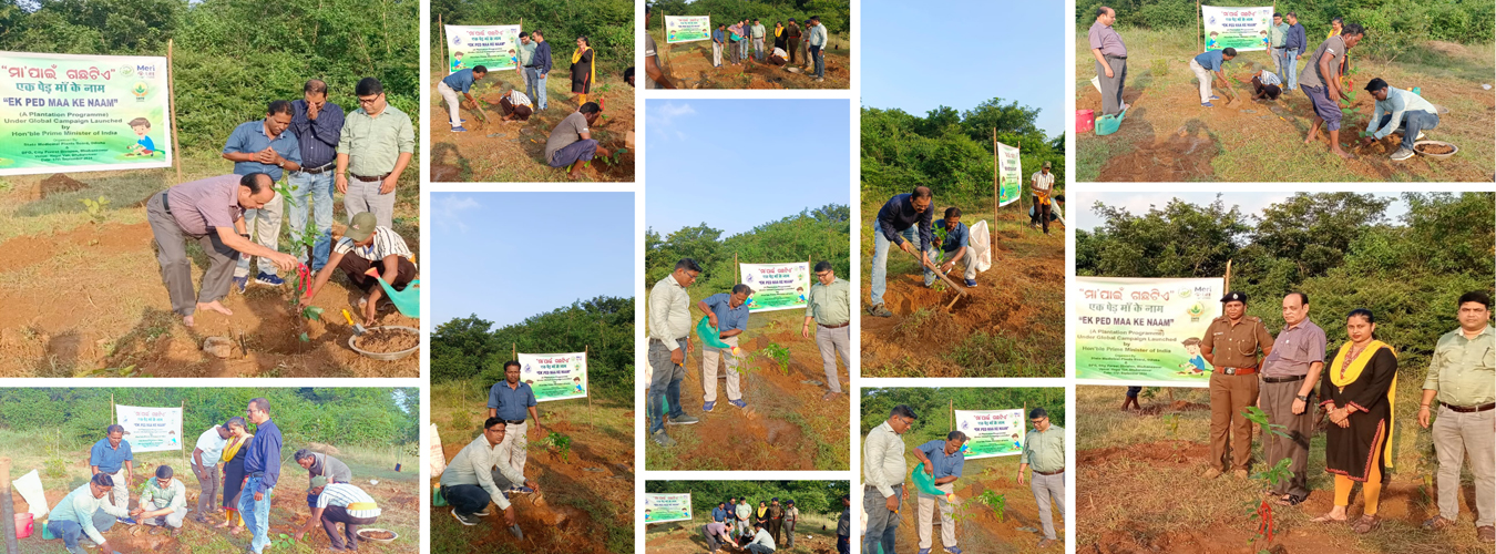 State Medicinal Plants Board