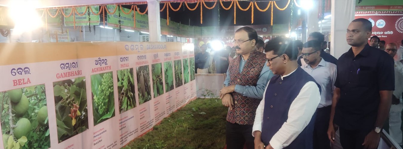 State Medicinal Plants Board